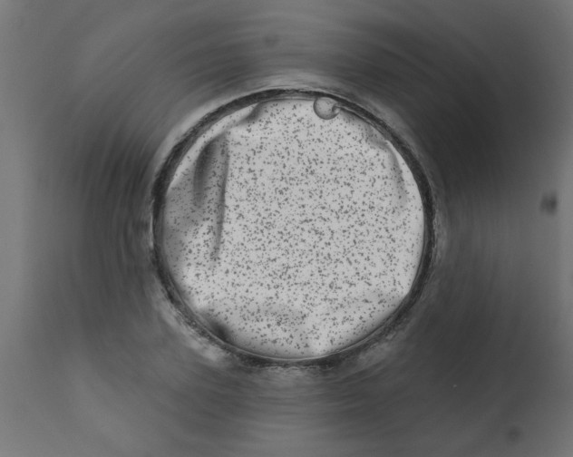 X0000113200931200910081248