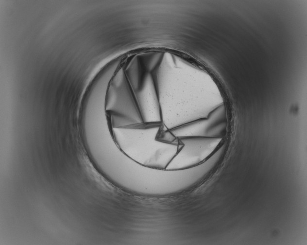 X0000113200932200910081248