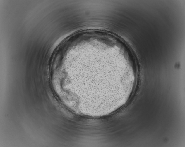 X0000113200933200910081248