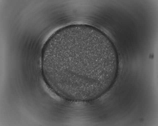 X0000113200934200910081248
