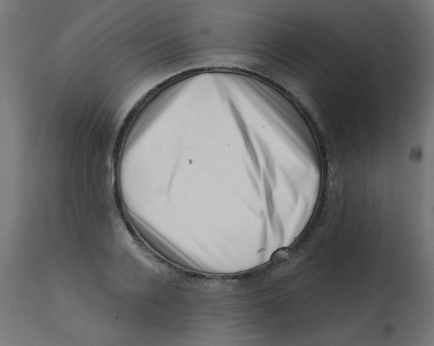 X0000113200936200910081248