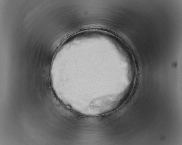 X0000113200937200910081248
