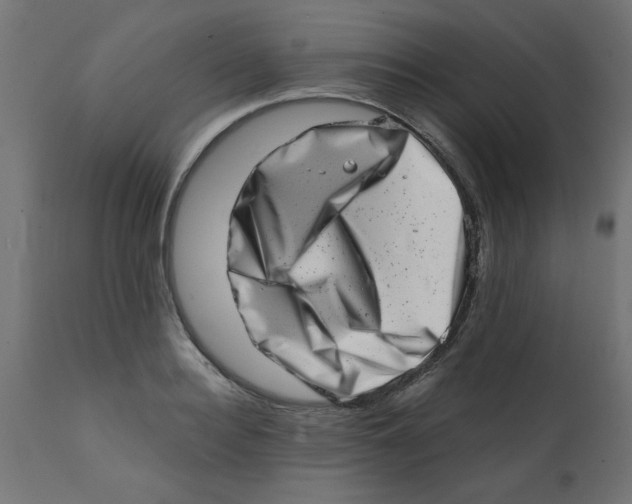 X0000113200940200910081248