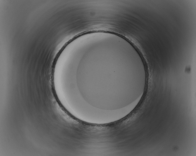 X0000113200941200910081248