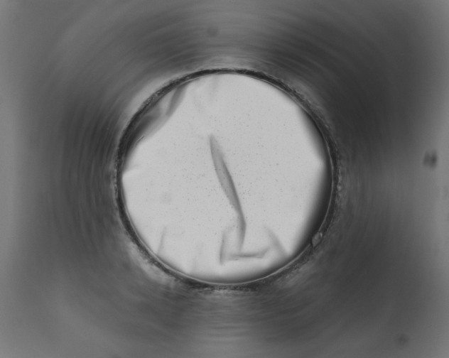 X0000113200942200910081248