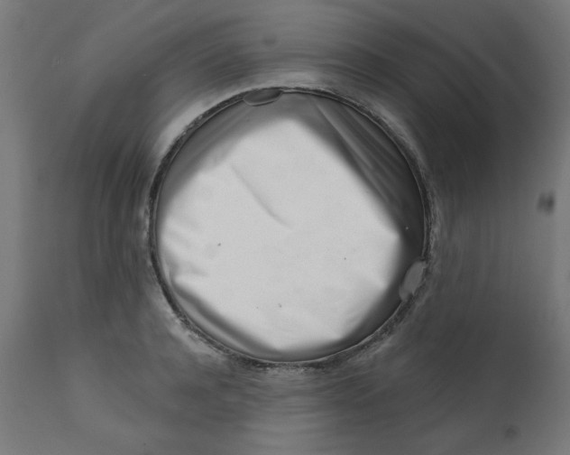 X0000113200944200910081248
