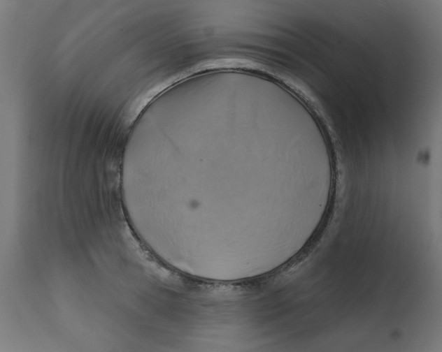 X0000113200945200910081248