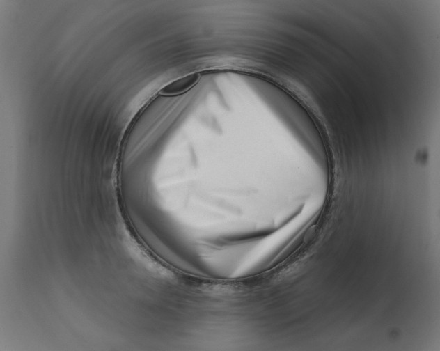 X0000113200946200910081248