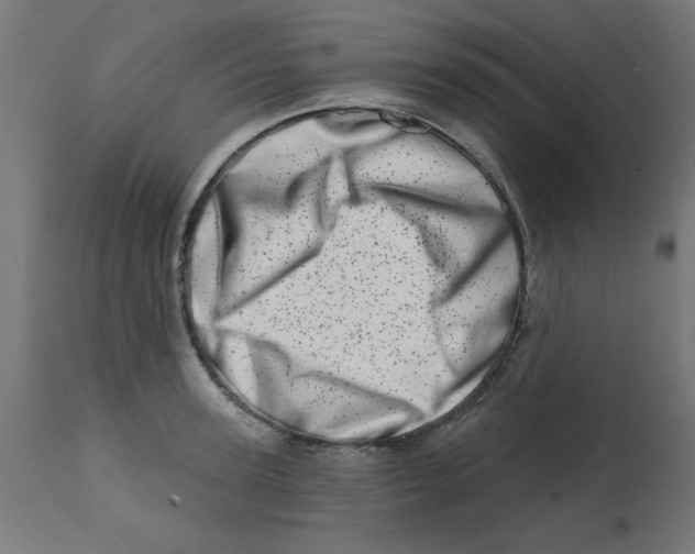 X0000113200947200910081248