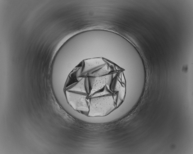 X0000113200948200910081248