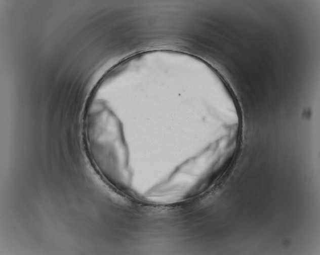 X0000113200949200910081248