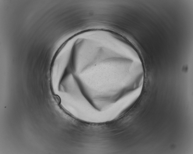 X0000113200951200910081248