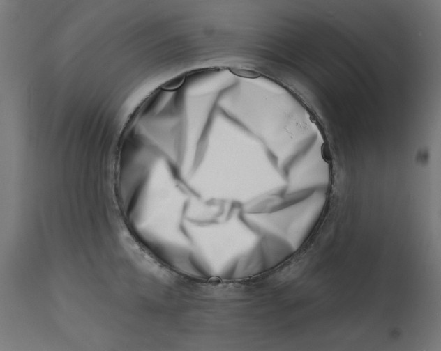 X0000113200952200910081248