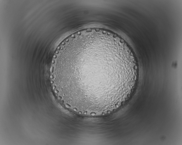 X0000113200953200910081248