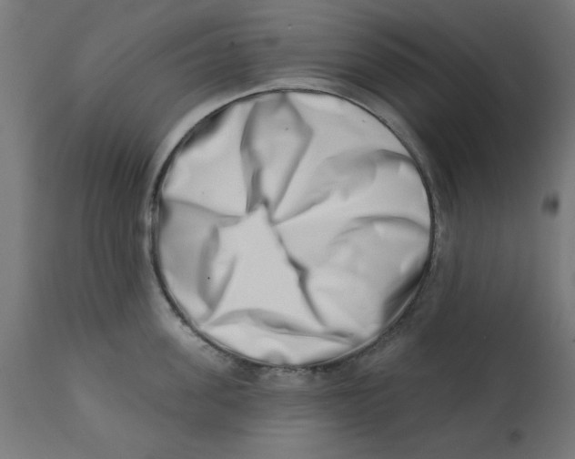 X0000113200955200910081248