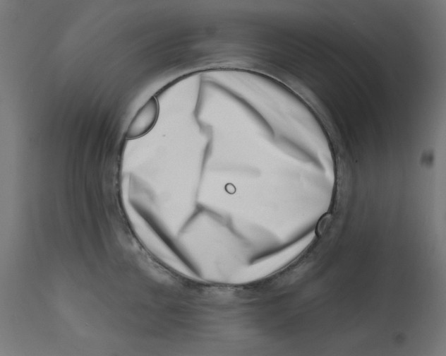 X0000113200956200910081248