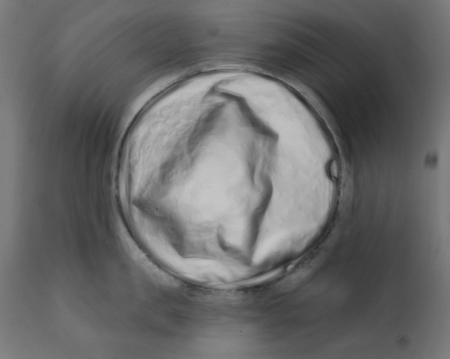 X0000113200957200910081248