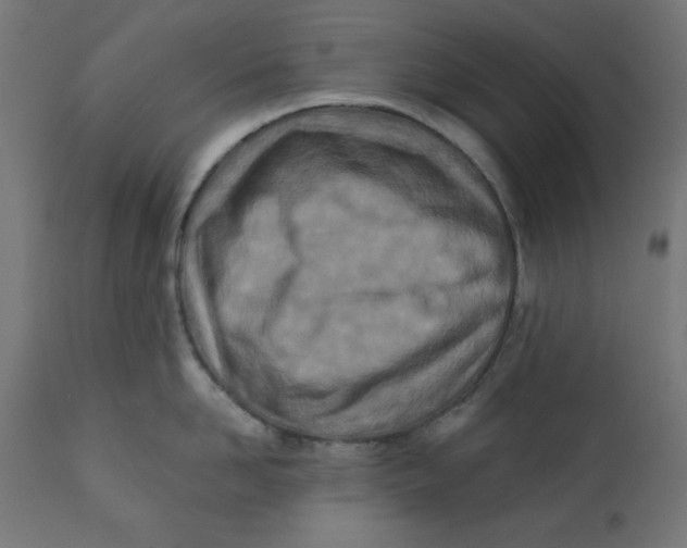 X0000113200958200910081248