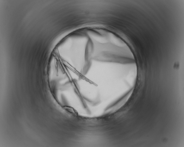 X0000113200959200910081248