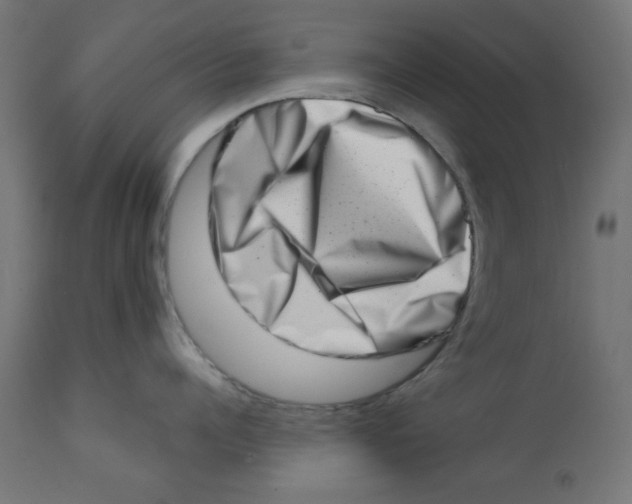 X0000113200960200910081249