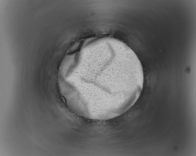 X0000113200961200910081248