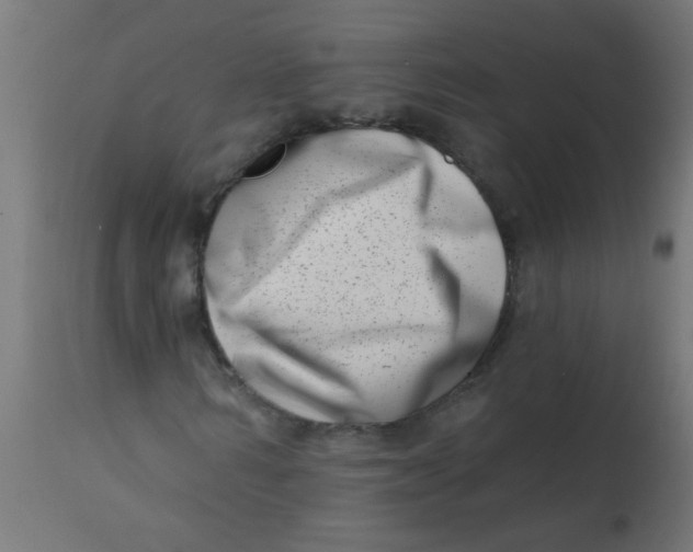 X0000113200962200910081248