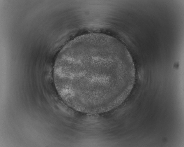 X0000113200964200910081247