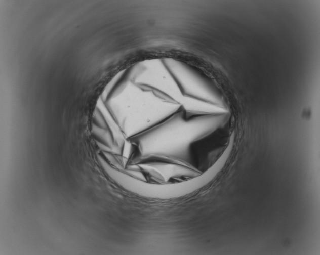 X0000113200965200910081247