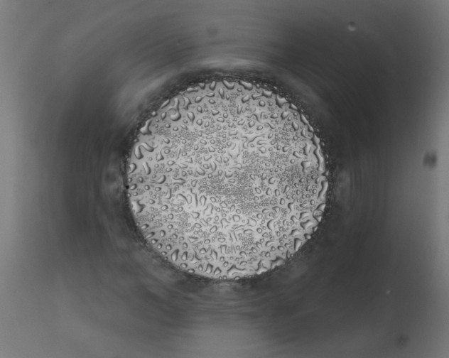 X0000113200966200910081247