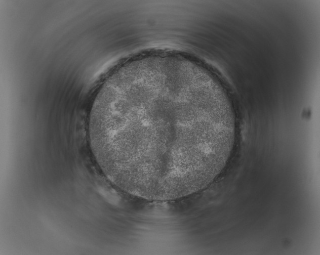 X0000113200968200910081247