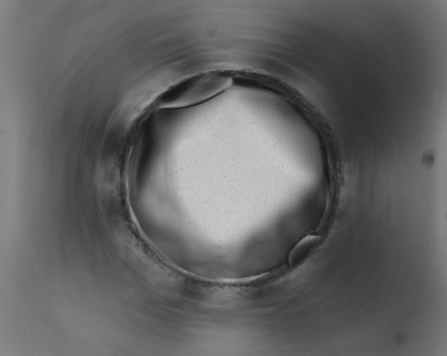 X0000113200969200910081247
