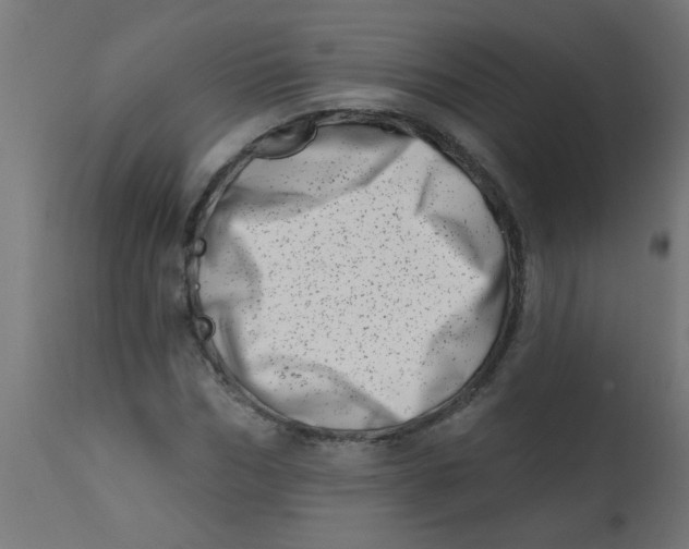 X0000113200970200910081247