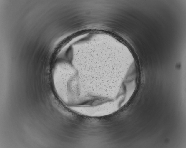 X0000113200971200910081247