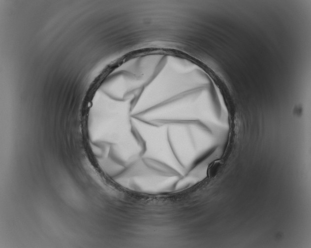 X0000113200972200910081247