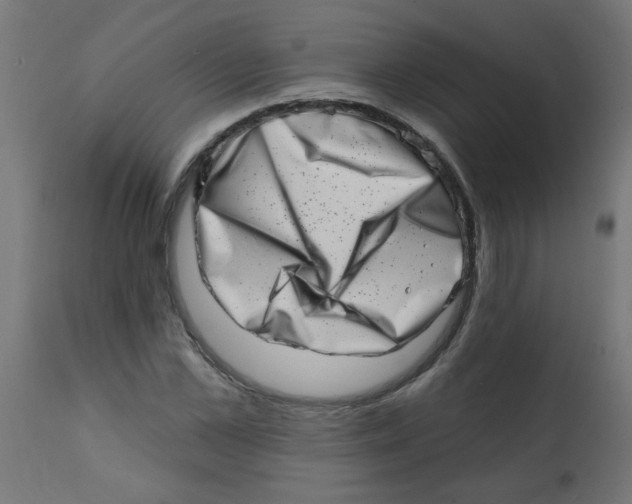 X0000113200973200910081247