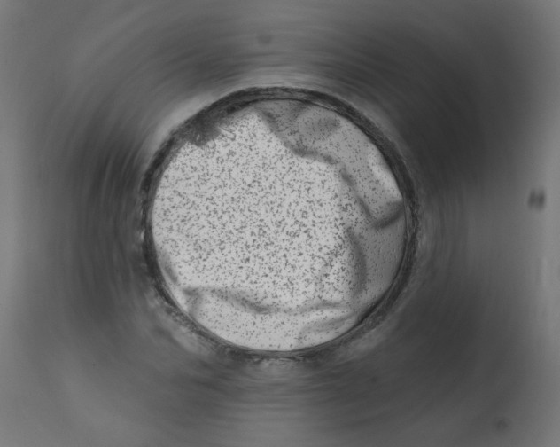 X0000113200974200910081247