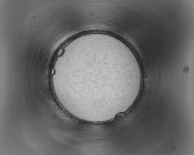 X0000113200975200910081247