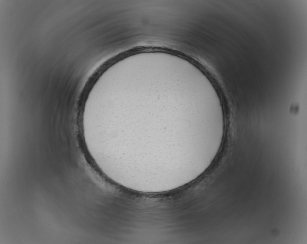 X0000113200976200910081247