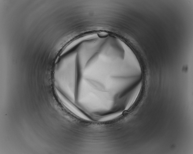 X0000113200977200910081247