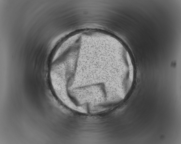 X0000113200979200910081247