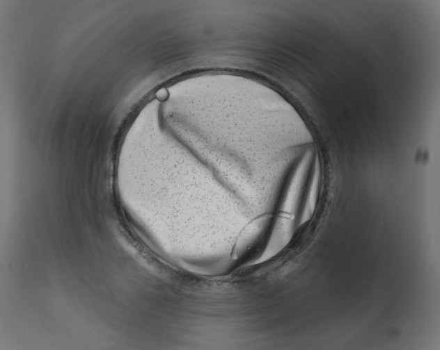 X0000113200982200910081247