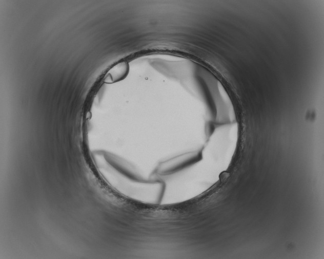 X0000113200984200910081247
