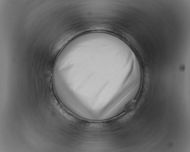X0000113200985200910081247