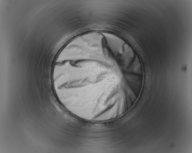 X0000113200986200910081247