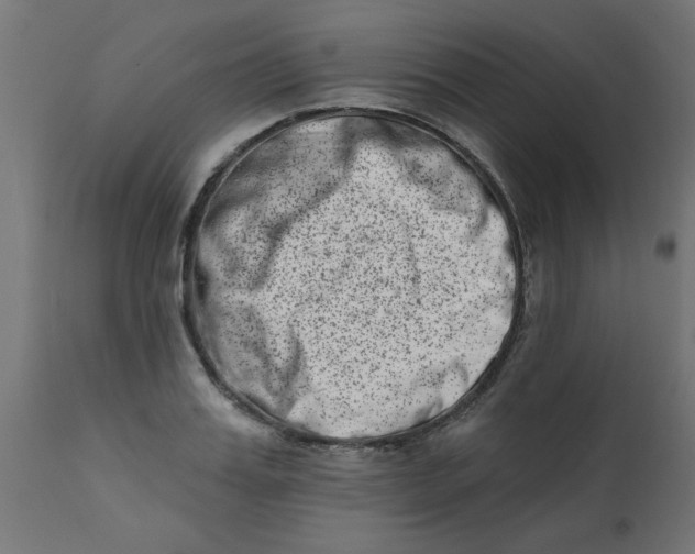 X0000113200987200910081247