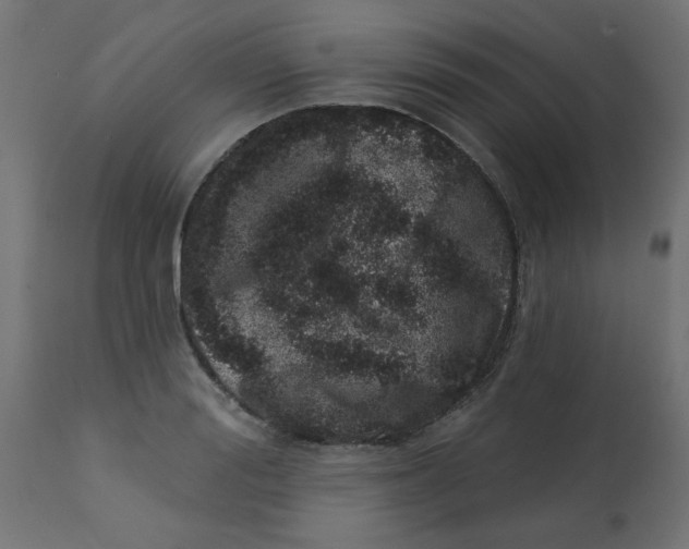X0000113200988200910081247
