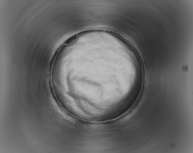 X0000113200989200910081247