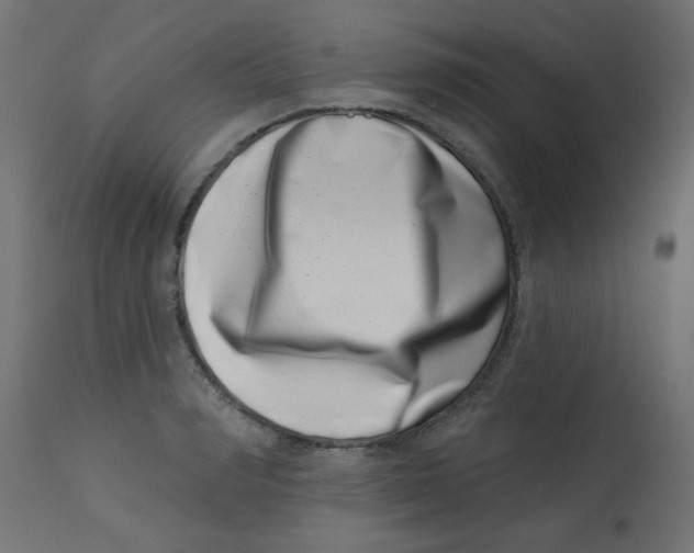 X0000113200990200910081247