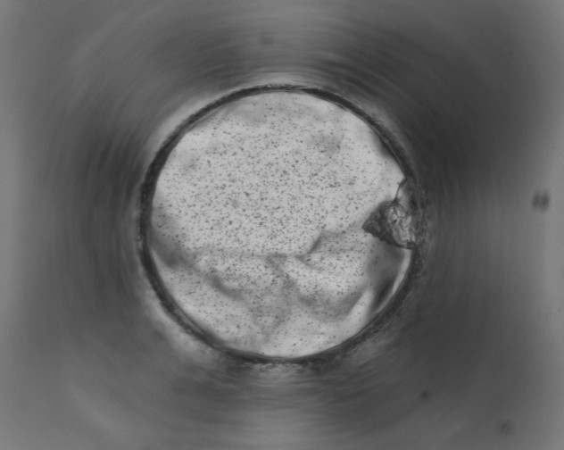 X0000113200991200910081247