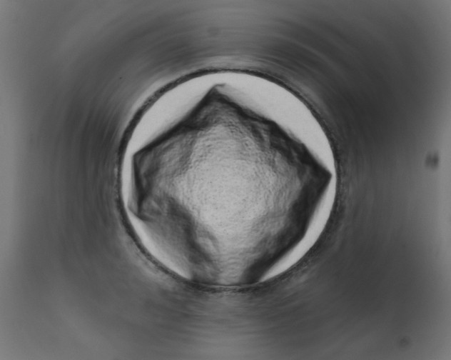X0000113200992200910081247